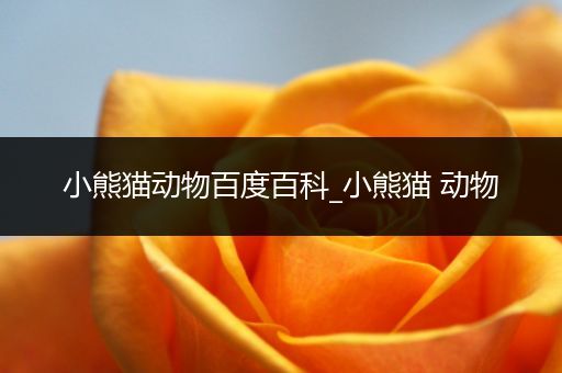 小熊猫动物百度百科_小熊猫 动物