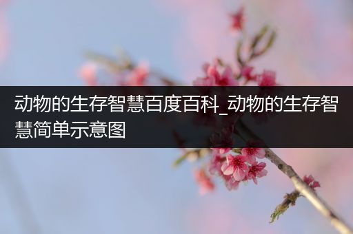 动物的生存智慧百度百科_动物的生存智慧简单示意图