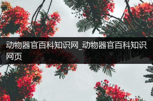 动物器官百科知识网_动物器官百科知识网页