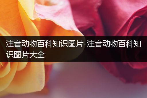 注音动物百科知识图片-注音动物百科知识图片大全
