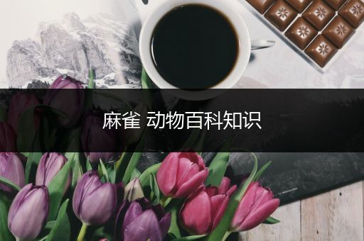 麻雀 动物百科知识