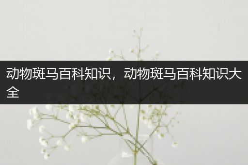 动物斑马百科知识，动物斑马百科知识大全