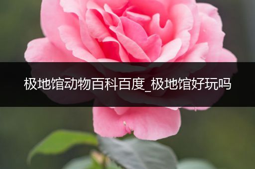 极地馆动物百科百度_极地馆好玩吗