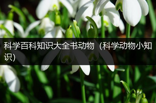 科学百科知识大全书动物（科学动物小知识）