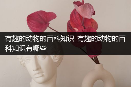 有趣的动物的百科知识-有趣的动物的百科知识有哪些