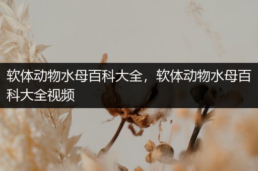 软体动物水母百科大全，软体动物水母百科大全视频