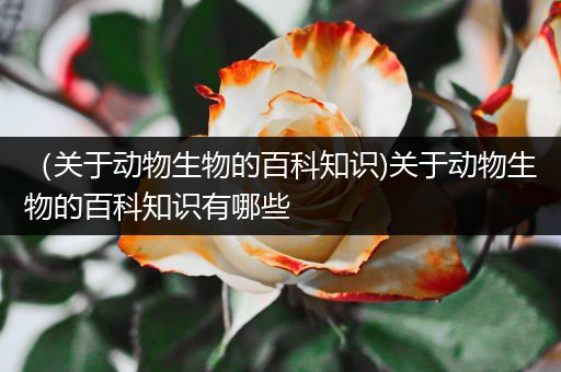 （关于动物生物的百科知识)关于动物生物的百科知识有哪些