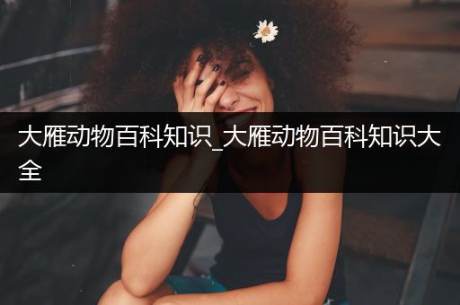 大雁动物百科知识_大雁动物百科知识大全
