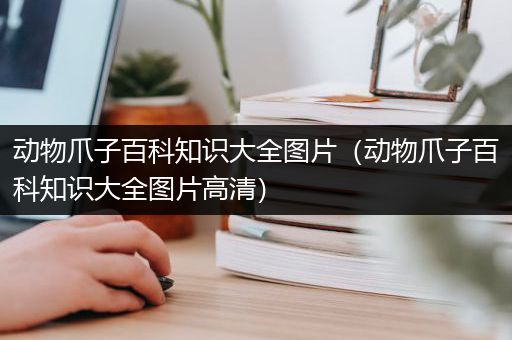 动物爪子百科知识大全图片（动物爪子百科知识大全图片高清）