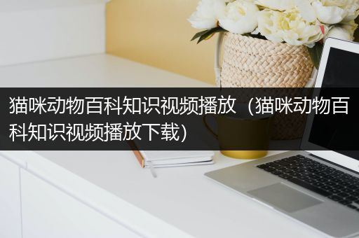 猫咪动物百科知识视频播放（猫咪动物百科知识视频播放下载）