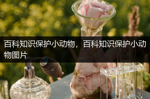 百科知识保护小动物，百科知识保护小动物图片