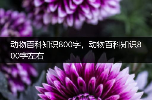 动物百科知识800字，动物百科知识800字左右