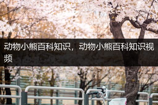 动物小熊百科知识，动物小熊百科知识视频