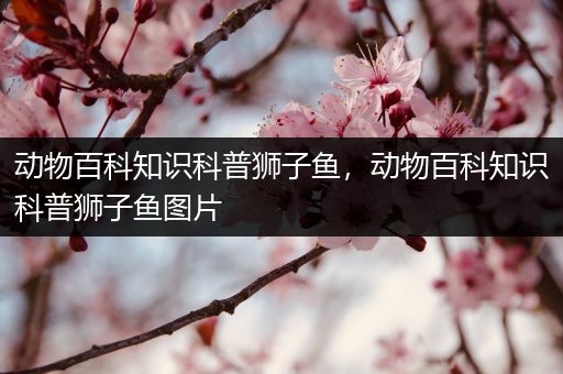 动物百科知识科普狮子鱼，动物百科知识科普狮子鱼图片