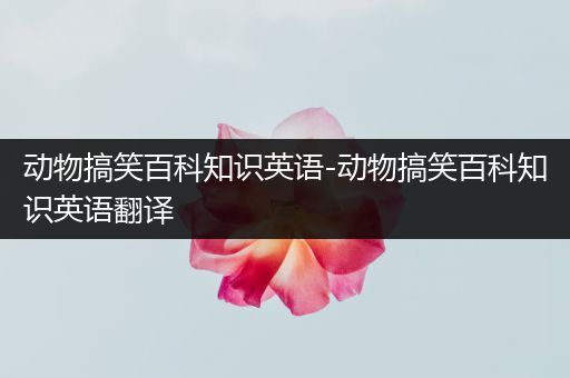 动物搞笑百科知识英语-动物搞笑百科知识英语翻译