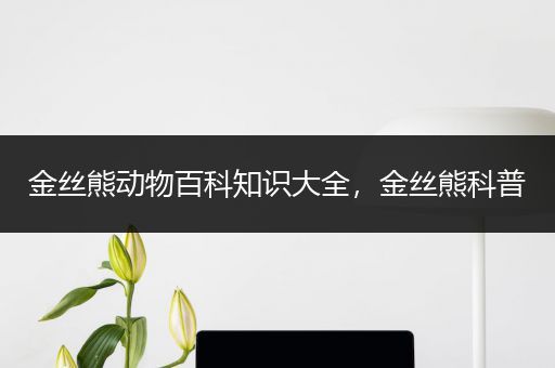 金丝熊动物百科知识大全，金丝熊科普