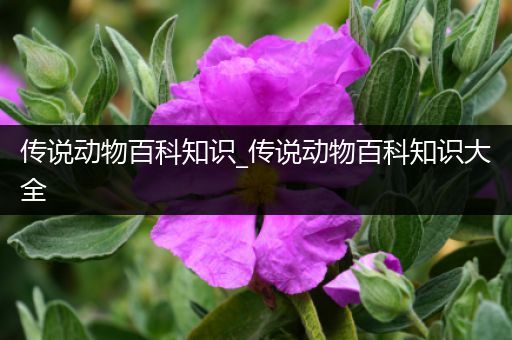传说动物百科知识_传说动物百科知识大全