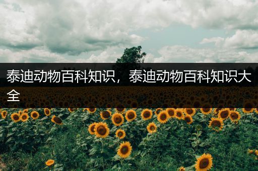 泰迪动物百科知识，泰迪动物百科知识大全