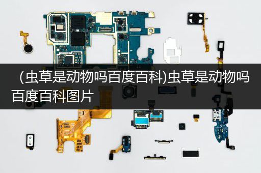 （虫草是动物吗百度百科)虫草是动物吗百度百科图片