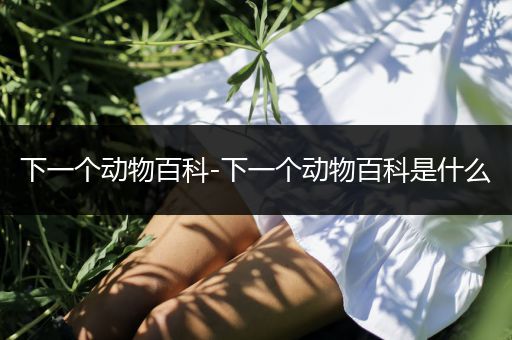 下一个动物百科-下一个动物百科是什么