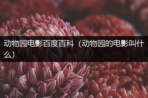 动物园电影百度百科（动物园的电影叫什么）