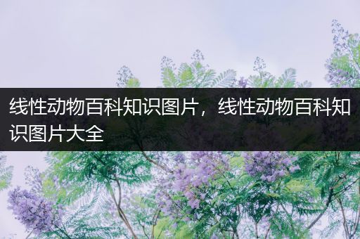 线性动物百科知识图片，线性动物百科知识图片大全