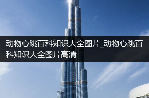 动物心跳百科知识大全图片_动物心跳百科知识大全图片高清