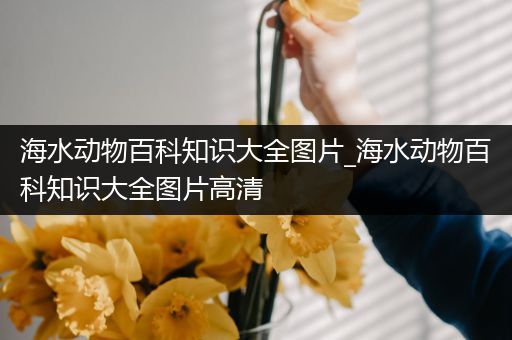 海水动物百科知识大全图片_海水动物百科知识大全图片高清