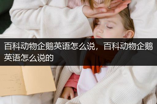 百科动物企鹅英语怎么说，百科动物企鹅英语怎么说的