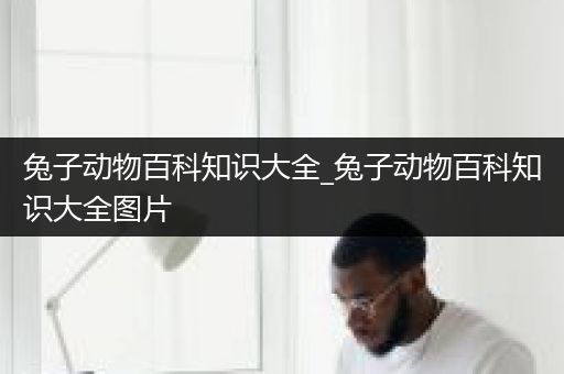 兔子动物百科知识大全_兔子动物百科知识大全图片