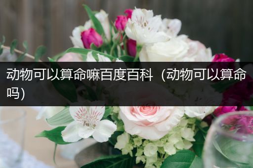 动物可以算命嘛百度百科（动物可以算命吗）