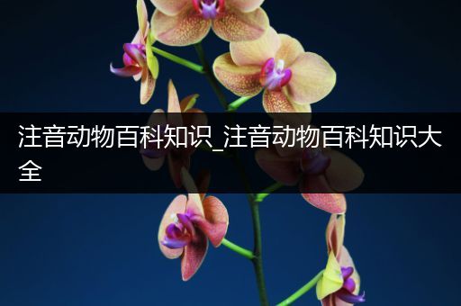 注音动物百科知识_注音动物百科知识大全