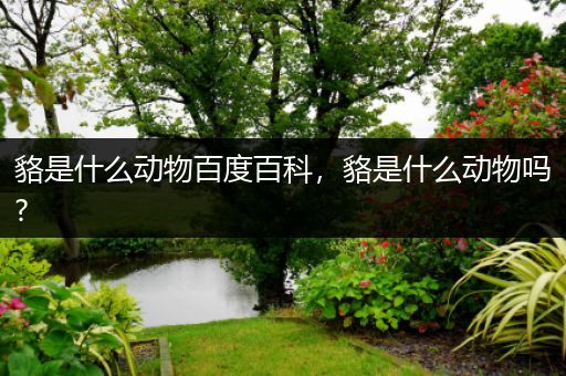 貉是什么动物百度百科，貉是什么动物吗?