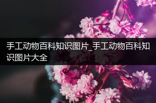 手工动物百科知识图片_手工动物百科知识图片大全