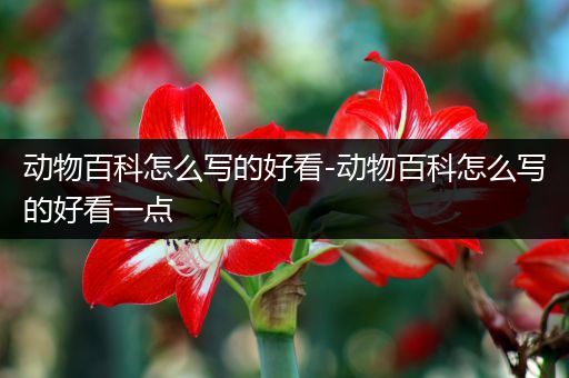 动物百科怎么写的好看-动物百科怎么写的好看一点