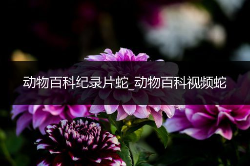 动物百科纪录片蛇_动物百科视频蛇