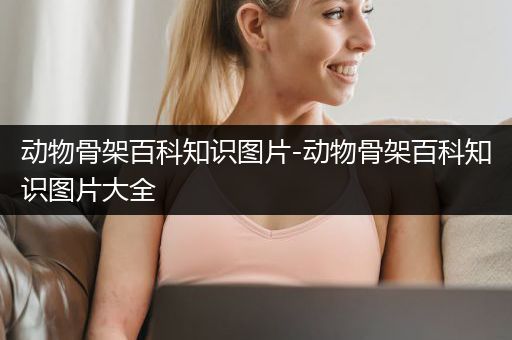 动物骨架百科知识图片-动物骨架百科知识图片大全