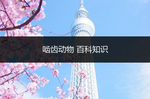 啮齿动物 百科知识