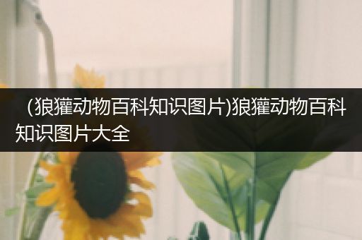 （狼獾动物百科知识图片)狼獾动物百科知识图片大全