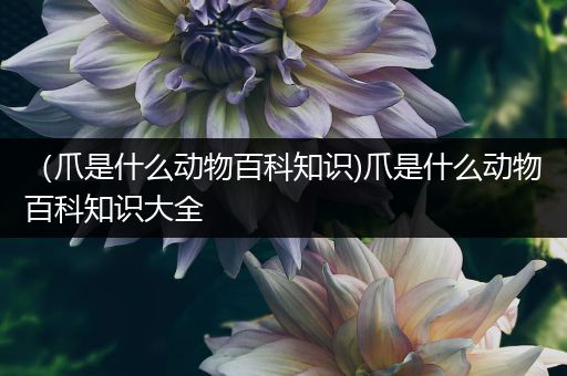 （爪是什么动物百科知识)爪是什么动物百科知识大全