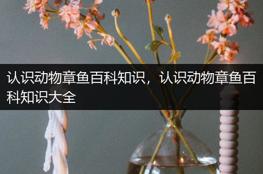 认识动物章鱼百科知识，认识动物章鱼百科知识大全