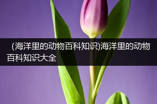 （海洋里的动物百科知识)海洋里的动物百科知识大全