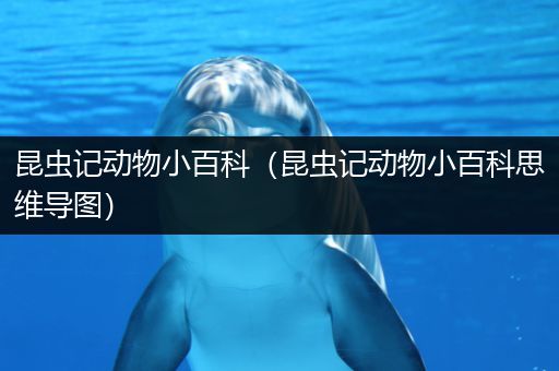 昆虫记动物小百科（昆虫记动物小百科思维导图）