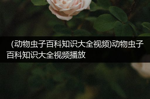 （动物虫子百科知识大全视频)动物虫子百科知识大全视频播放