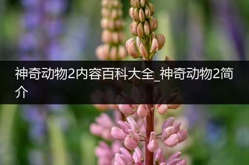 神奇动物2内容百科大全_神奇动物2简介