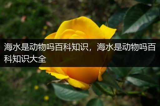 海水是动物吗百科知识，海水是动物吗百科知识大全