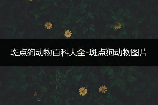 斑点狗动物百科大全-斑点狗动物图片
