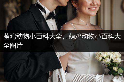 萌鸡动物小百科大全，萌鸡动物小百科大全图片
