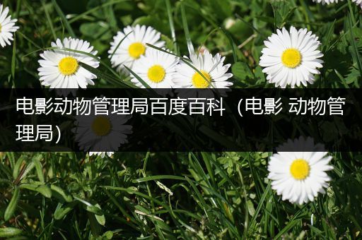 电影动物管理局百度百科（电影 动物管理局）