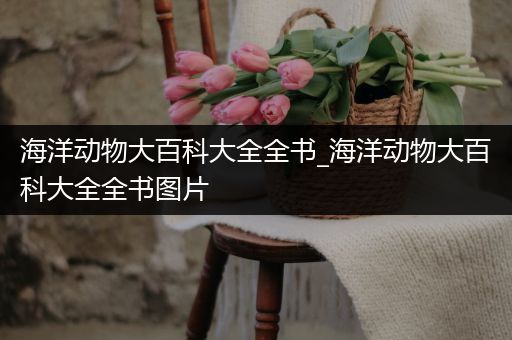 海洋动物大百科大全全书_海洋动物大百科大全全书图片